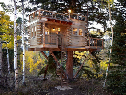 在樹上建小木屋