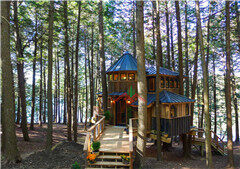 廣東韶關(guān)陳先生特色個性化樹屋