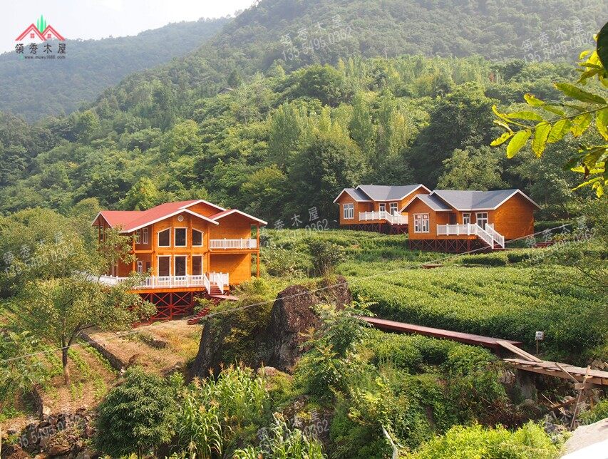 整個項目展示圖