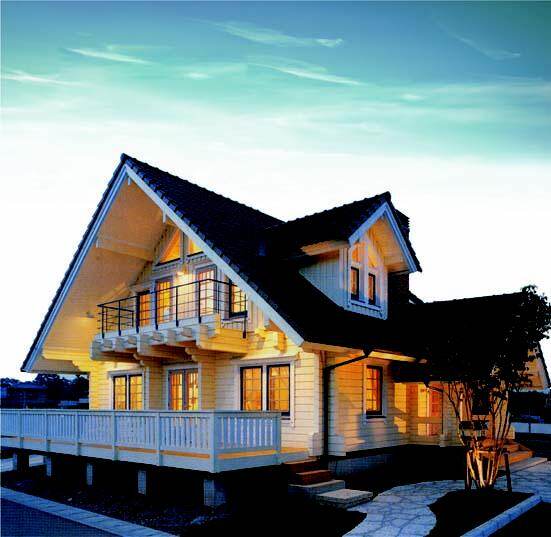 夢(mèng)想中的木屋(圖2)