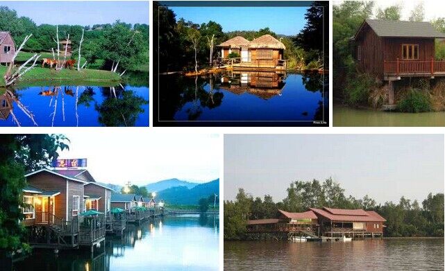 防腐木與木屋(圖3)