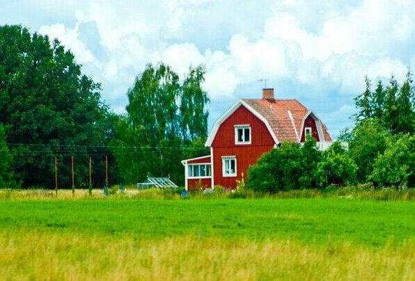 草原上的小木屋(圖1)