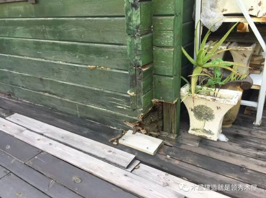 木屋木材發(fā)霉了怎么辦？(圖1)