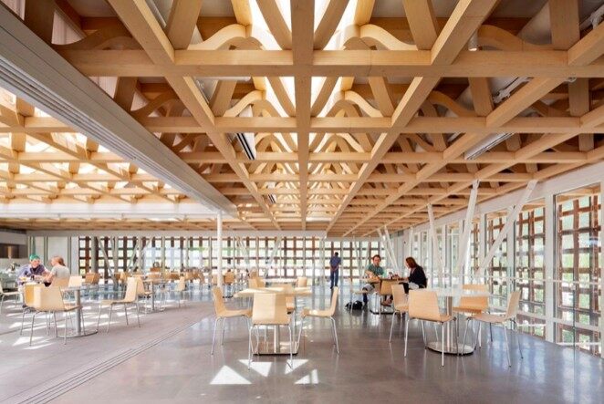 木屋為何需要膠合木特別是樓板及屋架(圖6)