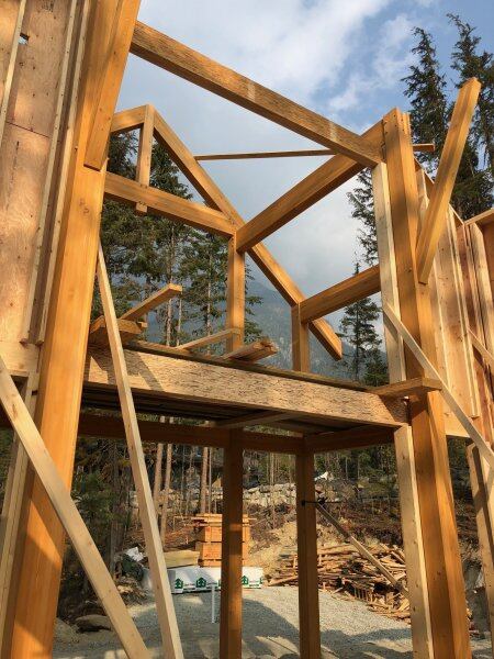 木屋選材及材料的處理(圖2)