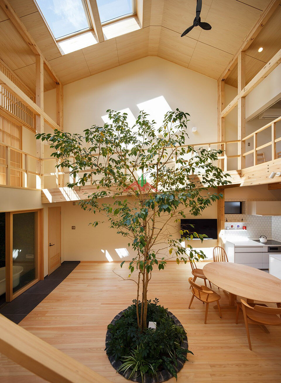 室內(nèi)有顆樹的木屋