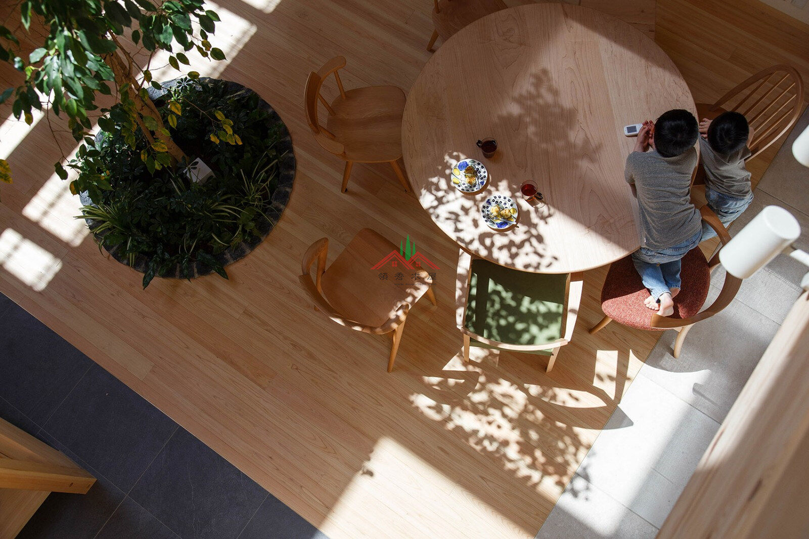 室內(nèi)有顆樹的木屋